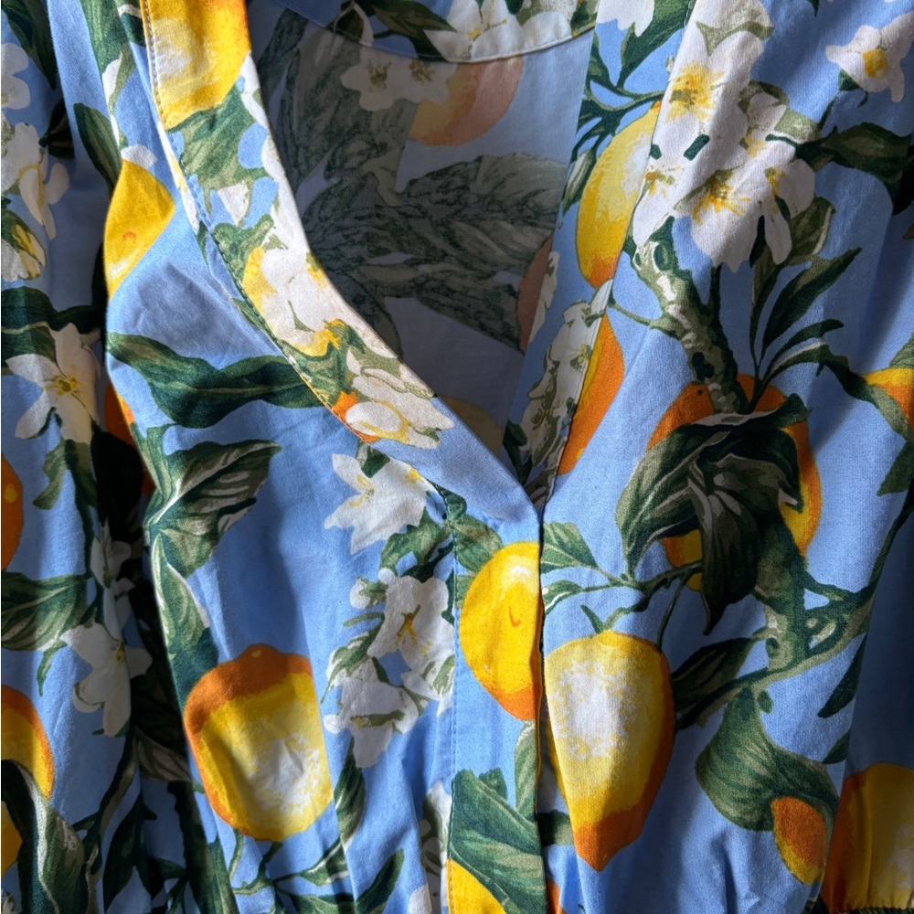 Anthropologie Lemon Print Maxi Dress - Picture 2 of 5